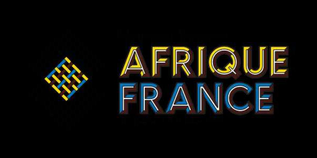 Sommet Afrique-France 2021 : l'échange