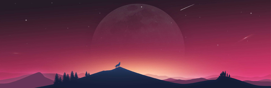 camerfeelingREZO Cover Image